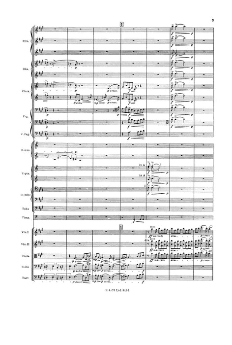 Symphony No. 1 提佩特 交響曲 總譜 朔特版 | 小雅音樂 Hsiaoya Music