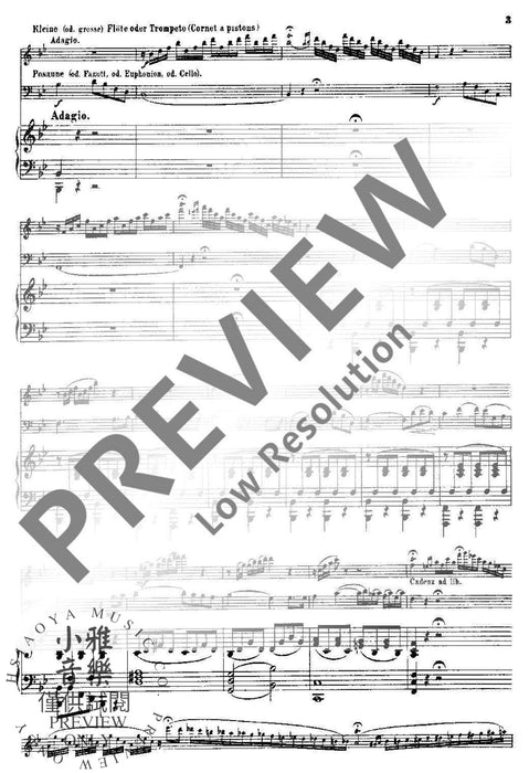 Elephant and Midge op. 520 Komisches Intermezzo 鋼琴三重奏 間奏曲 | 小雅音樂 Hsiaoya Music