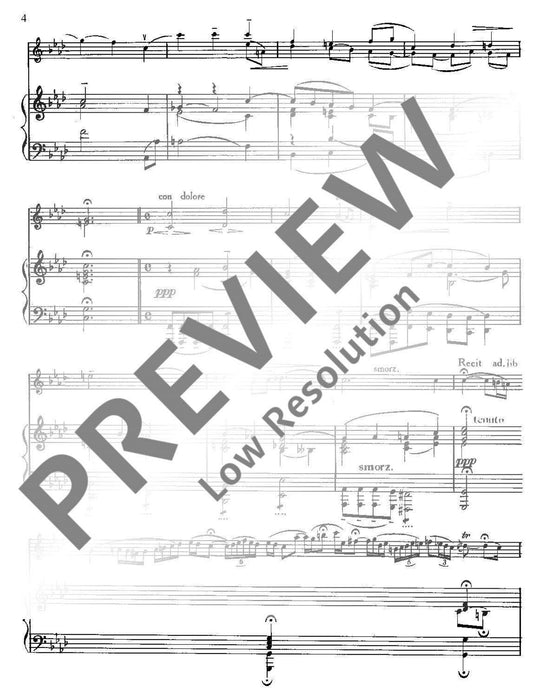 Sonata f minor Le Tombeau 洛卡泰利 奏鳴曲小調 小提琴加鋼琴 朔特版 | 小雅音樂 Hsiaoya Music