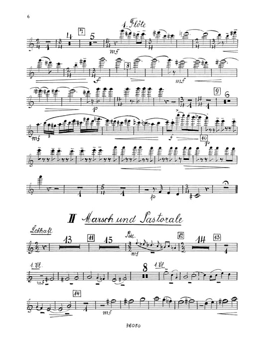 The Flute Audition Book Complete Original Orchestral Flute Parts 長笛 管弦樂團長笛 長笛獨奏 朔特版 | 小雅音樂 Hsiaoya Music