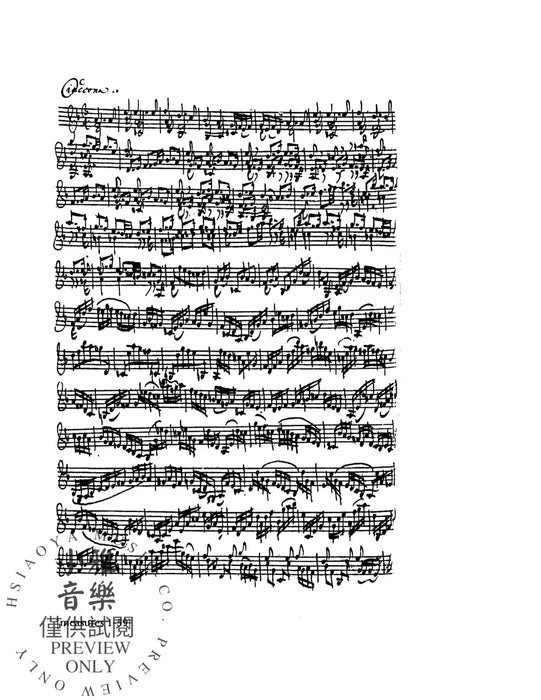 The Bach Chaconne for Solo Violin 巴赫約翰‧瑟巴斯提安 夏康舞曲 獨奏 小提琴 | 小雅音樂 Hsiaoya Music
