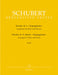 Sonate a-Moll D 821 "Arpeggione" -Bearbeitung für Flöte und Klavier- 舒伯特 騎熊士版 | 小雅音樂 Hsiaoya Music