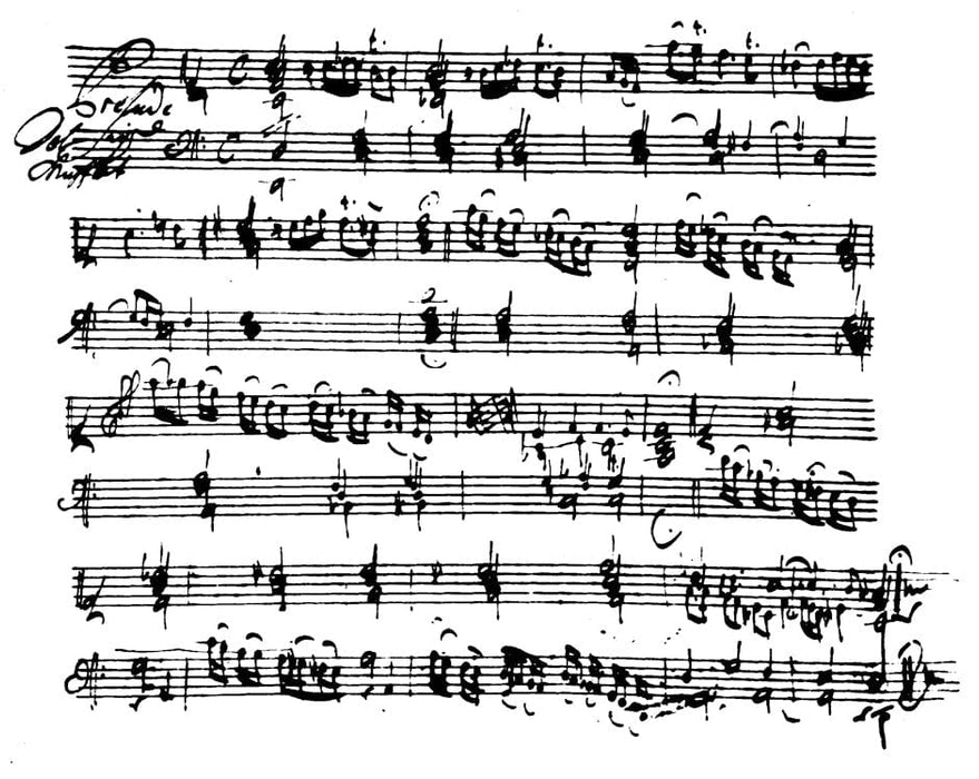 Complete Works for Keyboard (Organ) (Volume 1) 穆發特蓋沃格 鍵盤樂器管風琴 騎熊士版 | 小雅音樂 Hsiaoya Music