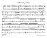 Lied- und Tanzvariationen (Teil 1) 史維林克 詠唱調 騎熊士版 | 小雅音樂 Hsiaoya Music
