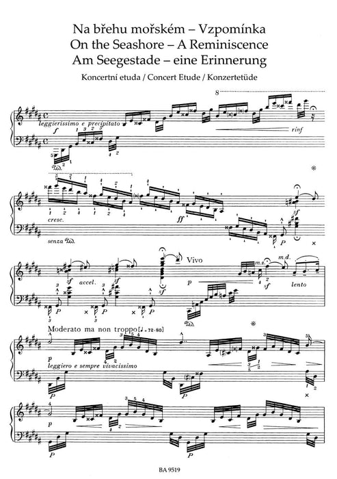 Am SeeGestade / Konzertetüde C-Dur / Fantasie über tschechische Volkslieder für Klavier 協奏曲 幻想曲 騎熊士版 | 小雅音樂 Hsiaoya Music