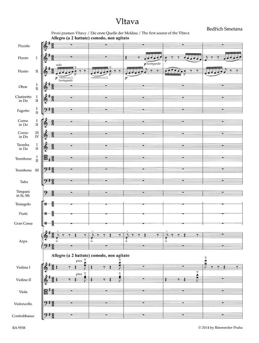 Vltava (The Moldau) 沃爾塔瓦 騎熊士版 | 小雅音樂 Hsiaoya Music