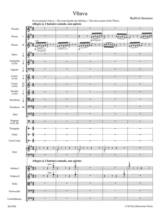 Vltava (The Moldau) 沃爾塔瓦 騎熊士版 | 小雅音樂 Hsiaoya Music