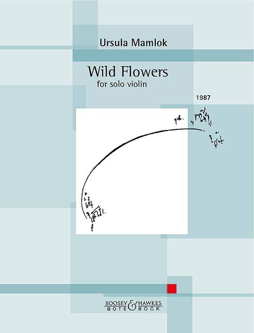 Wild Flowers 小提琴獨奏 柏特-柏克版 | 小雅音樂 Hsiaoya Music
