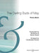 The Darling Buds of May Piano Album. 鋼琴 鋼琴獨奏 博浩版 | 小雅音樂 Hsiaoya Music