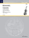 Concerto D Major op. 77 布拉姆斯 協奏曲大調 小提琴加鋼琴 朔特版 | 小雅音樂 Hsiaoya Music