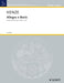 Allegra e Boris Duetto concertante per violino e viola 亨采 弦樂二重奏 中提琴 朔特版 | 小雅音樂 Hsiaoya Music
