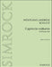 Capriccio notturno 舒爾次沃夫岡－安德雷阿斯 木管五重奏 隨想曲 | 小雅音樂 Hsiaoya Music