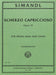 Scherzo Capriccioso, Opus 72 (solo tuning) 詼諧曲隨想曲作品 低音大提琴 (含鋼琴伴奏) 國際版 | 小雅音樂 Hsiaoya Music