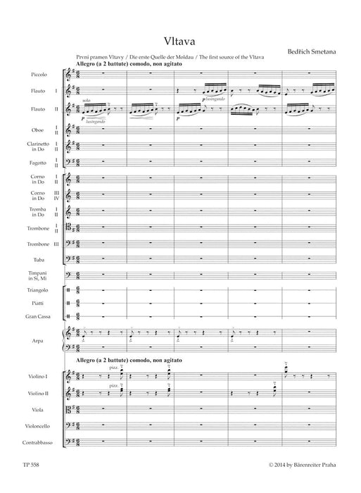 Vltava (The Moldau) 沃爾塔瓦 騎熊士版 | 小雅音樂 Hsiaoya Music